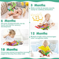 Baby Books, Touch and Feel Crinkle Cloth Books for Babies, Baby Essentials for Newborn, Car Seat Gifts for 0 3 6 12 Months