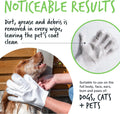 Dog Glove Wipes, Pet Wipes for Full Body, Eye Wipes, Ear Wipes, Bum & Paws. 30 Sensitive Dog Grooming Glove Wipes for Dogs, Puppy & Cat Grooming, One Size Fits All (Fragrance Free)